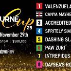 who to bet on melbourne cup